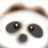 小火箭🚀 头像