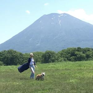 北海道大棚蔬果種植头像