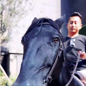 博物馆三人行 头像