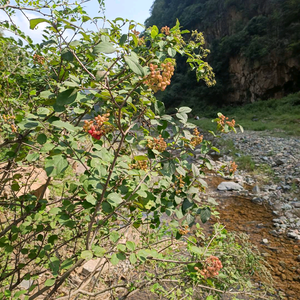 小張睡不醒....(承蒙厚爱)头像