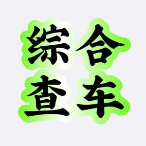 综合查车头像