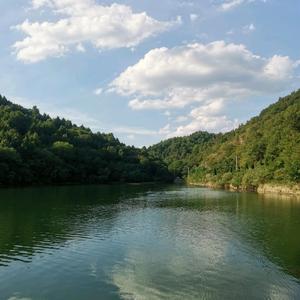 佛系钓友亮子 头像