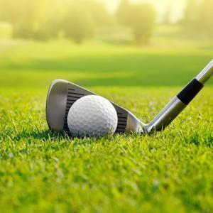 心中有虎爱嗅蔷薇 头像