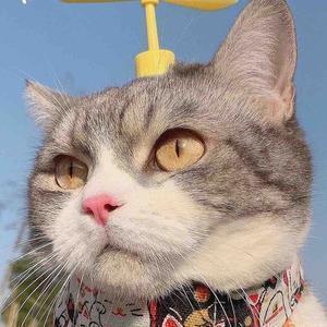 野外生存指南 头像