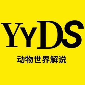 YYDS动物世界头像