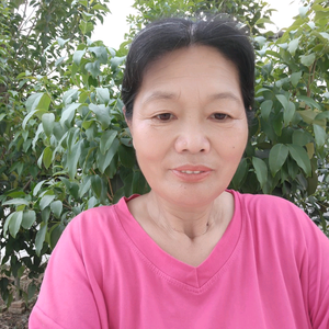 姐姐爱戏曲 头像