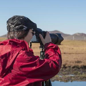 平凡的月朦胧 头像