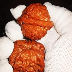 文玩爱好者也 头像