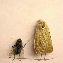 努力站桩的奶酪 头像