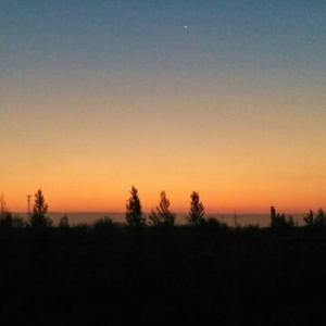 阿辉在观察 头像