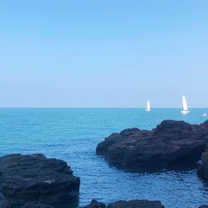 小夏爱分享 头像