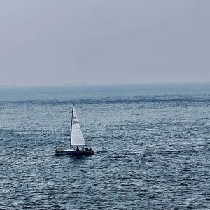 图图在干嘛 头像