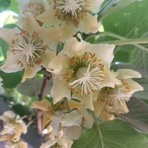 山水有相逢 头像