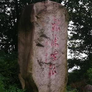 箫箫故事谷 头像