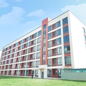 王老师升学规划课堂 头像