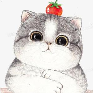 数据次卫面 头像