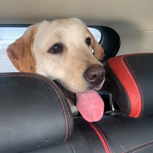 乐哥有点懂 头像