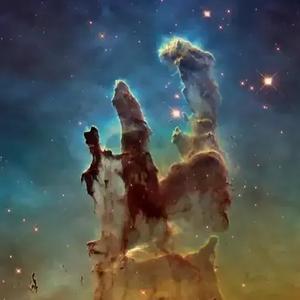 仙人掌中宝 头像