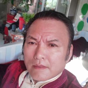 天涯孤鸿