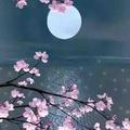 江微风