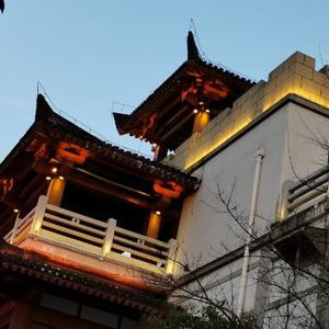 一抹星光 头像