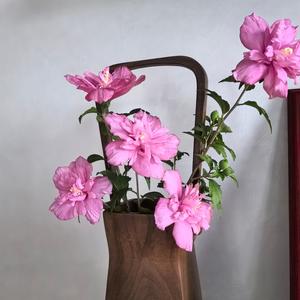 蓝蓝蓝湖 头像