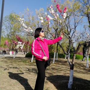 高中英语马老师 头像