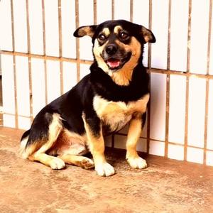 才思敏捷的胖胖学剪辑 头像