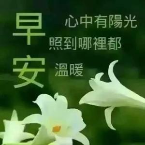 启迪人生的句子