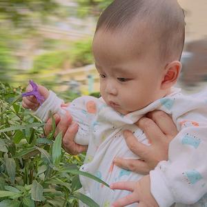 小龙宝麻麻嘻嘻嘻 头像