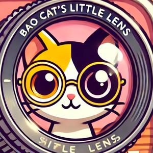 寶猫的小镜头 头像