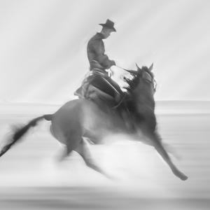 自由的梦想m 头像