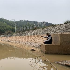 钓鱼台的不空大师头像