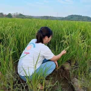 周瑞瑞的生活 头像