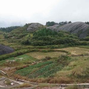 荣城雨哥头像