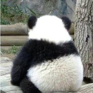塔姆科普趣闻