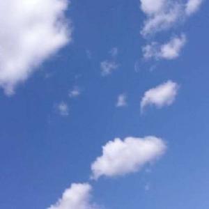 疯子在努力66
