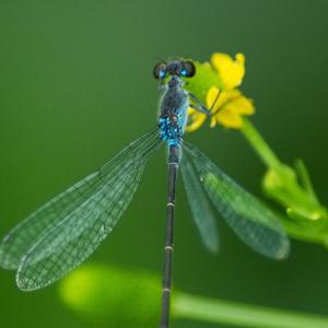 一花一世界一叶一菩提 头像