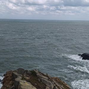 一片黄色枫叶 头像