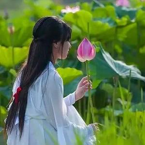 豫洛天中人