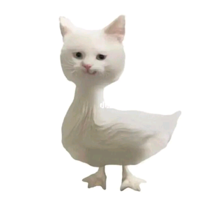 gugu泽先生 头像