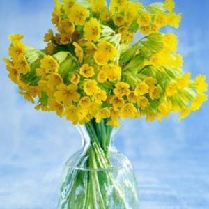 时光小屋的美好 头像