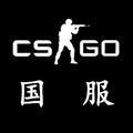 CSGO国服头像