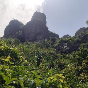 淡泊坦荡的帆船 头像