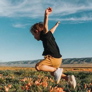 侠盗说动漫 头像