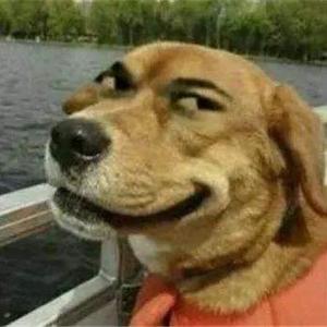 沙雕日报社长 头像