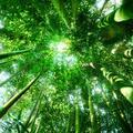 天地任我逍遥 头像