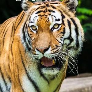 民间故事之慷慨而谈 头像