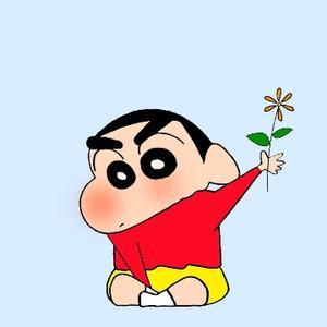 可爱知识