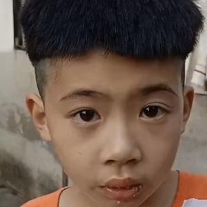 慢娃的成长记 头像